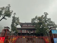 -潜山国家森林公园