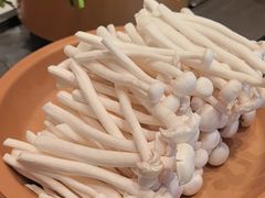 -龍歌自助小火锅(李沧丽达店)