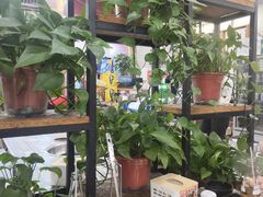 -成都屋头串串香(八府庄店)