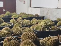 -榴莲一条街