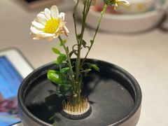 -老头儿油爆虾(星光一期店)