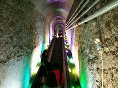 -青岛葡萄酒博物馆