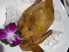 -顺轩海鲜火锅酒家