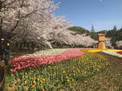 -苏州上方山国家森林公园