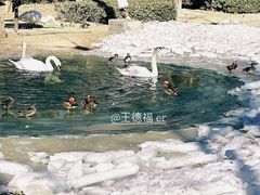 -太原动物园