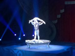 -珠海横琴长隆《卡卡虎奇遇记》