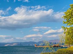 -洱海月湿地公园