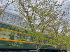 -新天地活力PARK