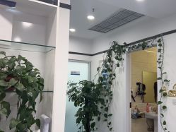 -蕾特恩专业祛痘国际连锁