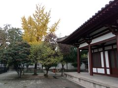 -西安青龙寺遗址景区
