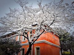 -浙江省杭州高级中学(贡院校区)