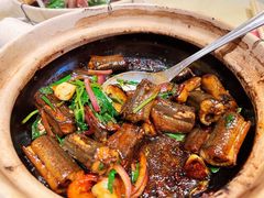 黄鳝啫啫煲-惠食佳(滨江大公馆店)