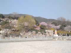 -北京西山国家森林公园