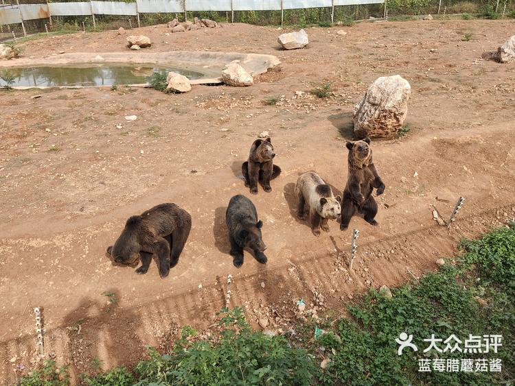 万安山野生动物园图片