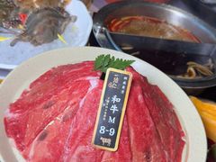 -一绪に寿喜烧自助(世茂广场店)