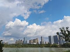 -洛龙公园
