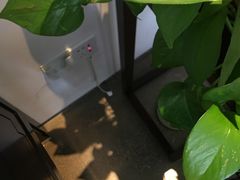 -墨宴(西洋湖店)