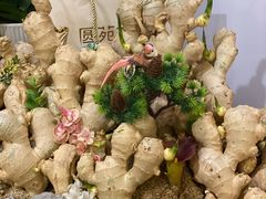 -圆苑(静安寺店)