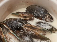 -白仁仔· 活烤海鲜 宵夜(豫园店)