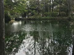 -富士山本宫浅间大社