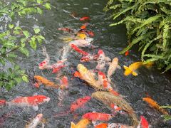 -上海虹桥宾馆味翠餐厅