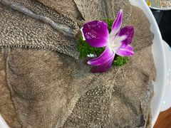 鲜毛肚-重庆圣渝老火锅(掌起镇横街店)