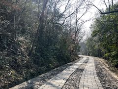 -紫金山山顶公园