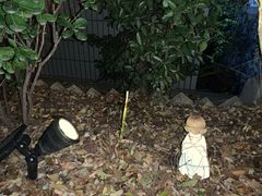 -风车面包