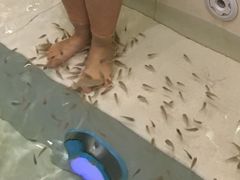 -果裹水汇(帅府店)
