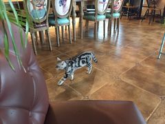 大堂-共舞时光猫咖·狗咖(新街口店)
