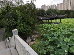 -高子水居