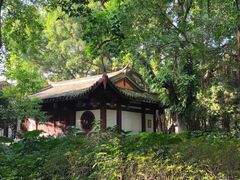 -西湖公园(鼓楼区)