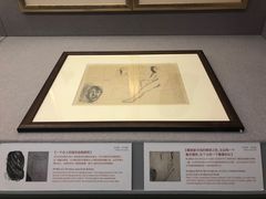 -北京大学赛克勒考古与艺术博物馆