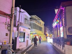 -西涌国际滨海旅游区