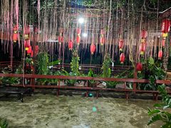 -万兴启丰椰子文化园餐厅