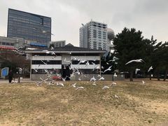 -台场海滨公园船码头