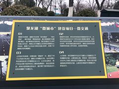 -聚龙湖公园