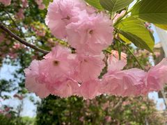 -长沙市青少年宫