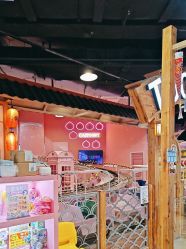 -卡通尼乐园(新达汇三林店)