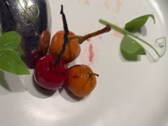 -大董(福田皇庭中心店)
