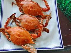 -宾朋海鲜饭庄(兴海路店)