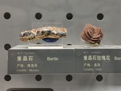 -中国地质博物馆