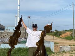 -那香海钻石沙滩浴场