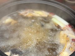 -滇野云南野生菌餐厅(陕西南路店)