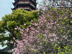 -西园戒幢律寺