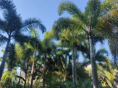 -海口香格里拉大酒店·大堂吧