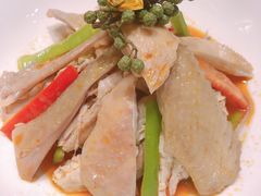 藤椒手撕鸡-必点海鲜·鲅鱼水饺(鞍山西道店)