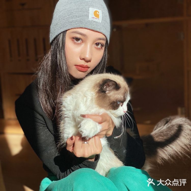 ❗️西安首家独栋别墅猫咖❗️🐈大唐御猫馆🎀