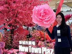 -新城市广场