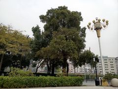 -海珠湖公园